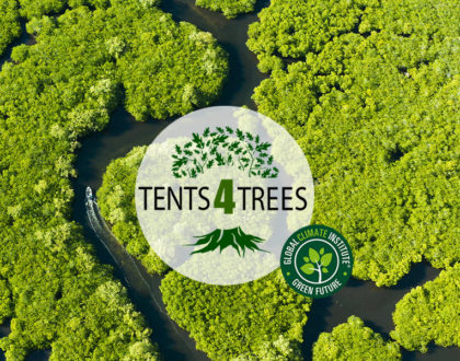 Tents4trees dancover klima