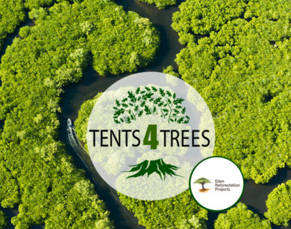 Tents4Trees planter mangrovetræer på Madagaskar