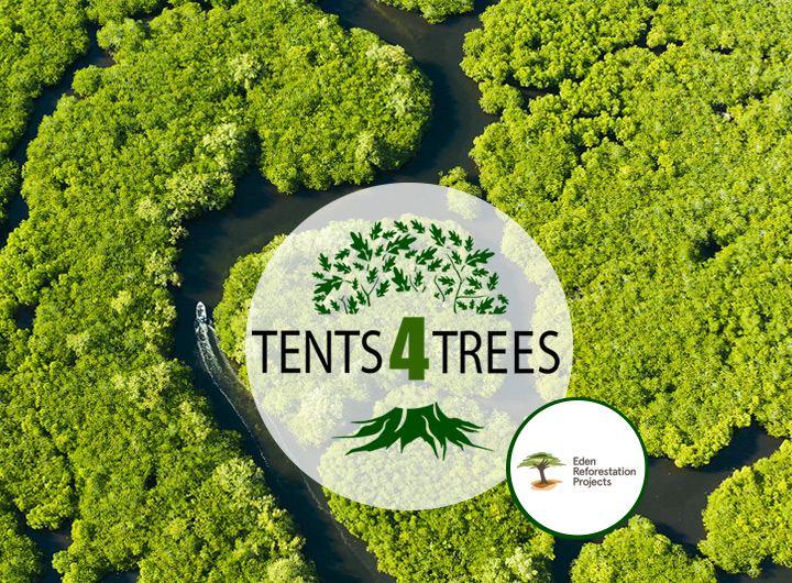 Tents4Trees planter mangrovetræer på Madagaskar