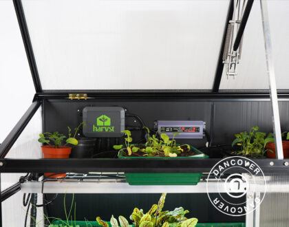 En propagator minidrivhus kan sørge for friske grønne planter hele året