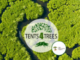 Tents4Trees har plantet over 152.000 træer sammen med deres kunder