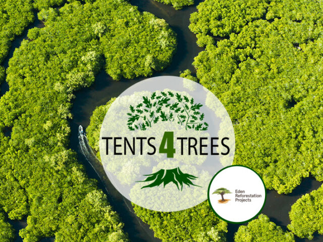 Tents4Trees har plantet over 152.000 træer sammen med deres kunder
